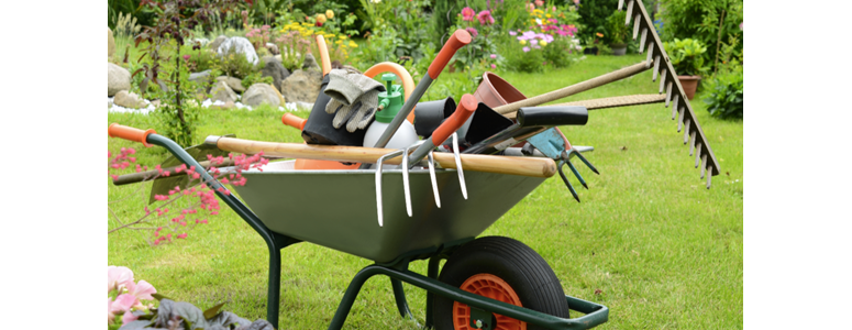 Must-Have Tools for Your Gardening Adventure
