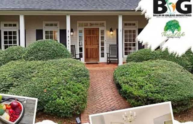 Image in section 'About'